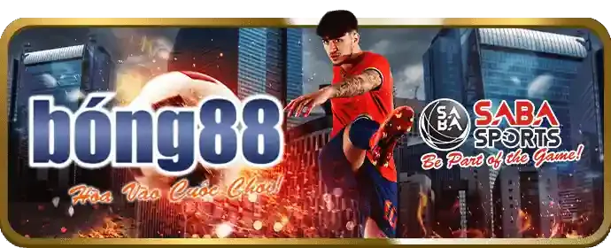 Chương trình hoàn trả VIP